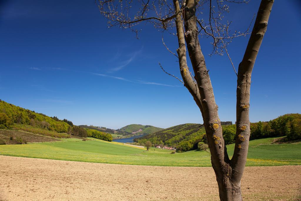 Gasthof Zum Diemeltal Marsberg Exterior photo
